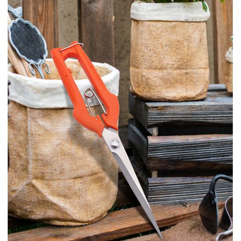 sécateur de jardinage couleur orange pour cueillette de raisin taille de branches et entretien de plantes en pot à la maison outil de coupe précis pour jardin balcon véranda (1/4)