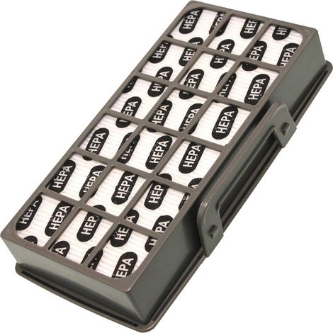 Filtro Hepa RS-RT4310, ZR920101 ROWENTA