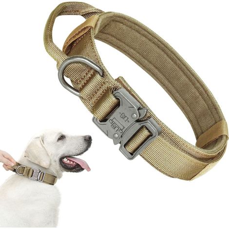 Collier pour chien avec boucle métal, kaki, taille L (43-52 cm) (1/5)