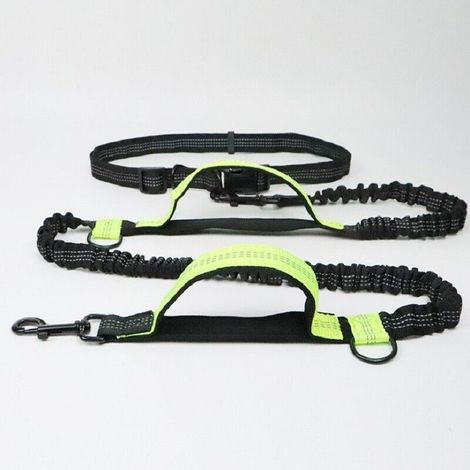 Laisse pour chien, avec ceinture réglable pour courir Vert fluo (1/3)
