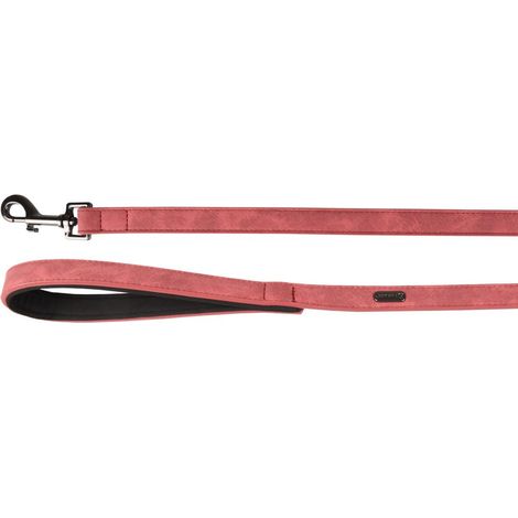 Laisse Rouge 100CM 20MM