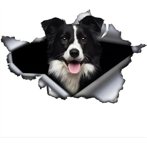 CCYKXA Autoaufkleber 25 cm (9,8 Zoll) Lustiger Border Collie-Aufkleber Border Collie-Autoaufkleber Haustierhund Wasserdichter Aufkleber 3D-Aufkleber aus zerrissenem Metall