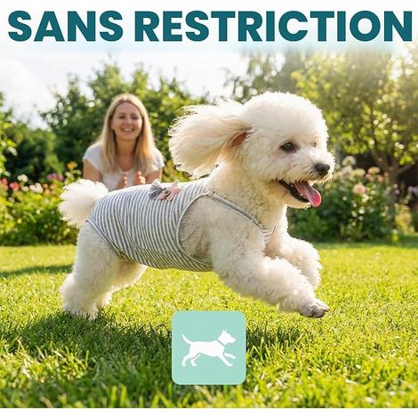 Culottes Hygiéniques Lavables pour Chiennes, Couches Réutilisables pour Chiennes en Chaleur, Pantalon Lavable avec Bretelles réglables, Protection Anti-Marquage et Incontinence (M) (1/4)