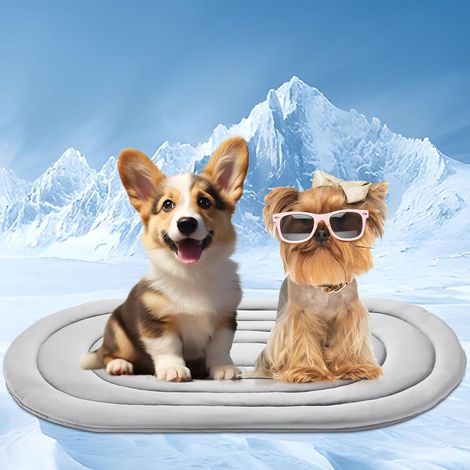 Tapis rafraîchissant, 4050cm, convient aux chats et aux chiens, lavable, imperméable et antidérapant.