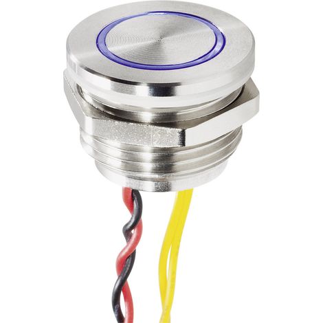 Renkforce RF-4707818 Klingeltaster mit Piezo 1fach Edelstahl, Blau 24 V/0,3 A