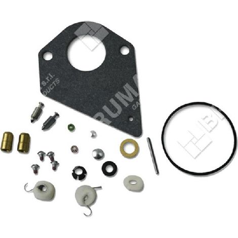 Kit de reparación para carburadores BRIGGS & STRATTON 497535 - 495799 - 690192 - 026247