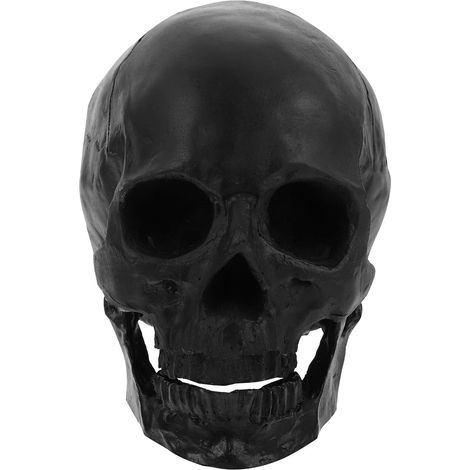 Crâne D’Halloween en Résine Modèle de Crâne Humain Décoratif Taille Moyenne Couleur Blanche Accessoire pour Décoration Intérieure et Enseignement Anatomique Pièce Unique pour (1/5)