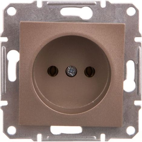Prise simple Asfora 2P sans cadre marron EPH3000169