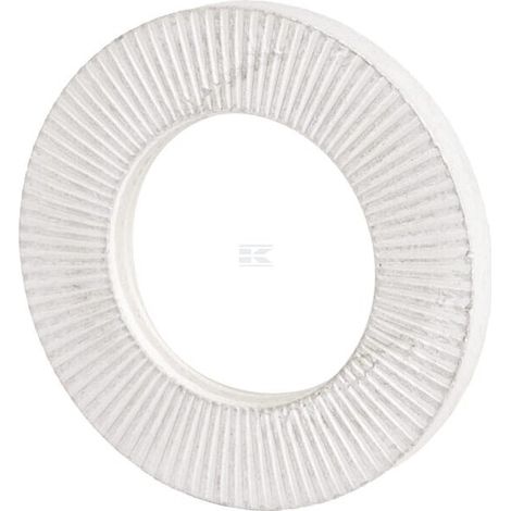 Arandela 20,5/37,0 x 4,0 Ripplock BK45 LEMKEN 30510383 (1/2)