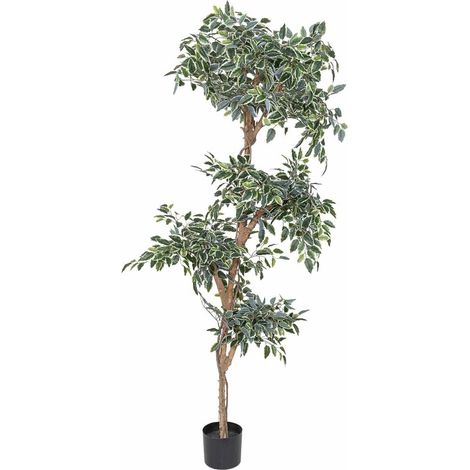 Planta ficus decorativo artificial verde 75x73x180h cm (1/5)