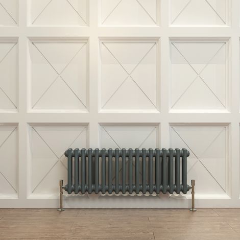 Biubiubath Traditional Cast Iron Radiator 300x830mm 2 Column Anthracite (1/5)