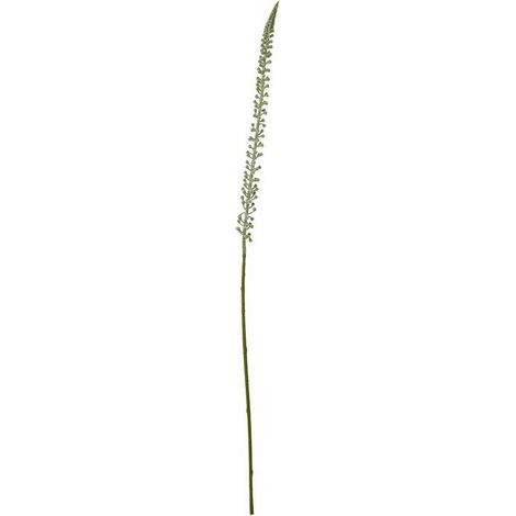 Eremurus (Single Stem Flower) - Plastic - L3 x W3 x H88 cm - White