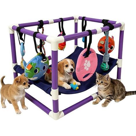 Playpen chiot avec 8 jouets de zone de jeu pour petits chiens (1/5)