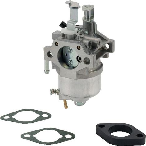 Carburateur B&S à cuve pour tondeuse à gazon B&S 85432 85462 026050 (1/2)
