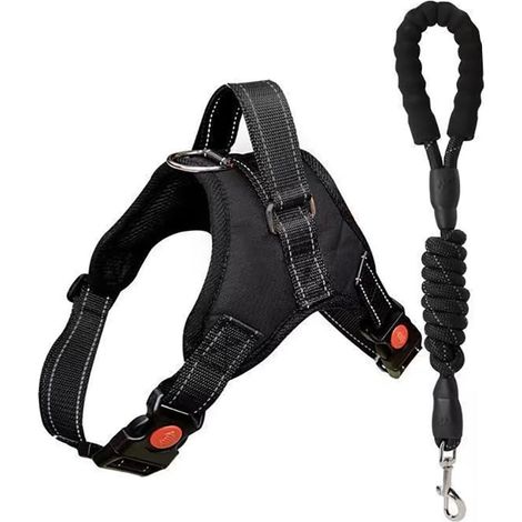 Für verstellbares und atmungsaktives geflochtenes Leinen-Set für tägliche Spaziergänge und Hundetraining, Größe L (1/5)