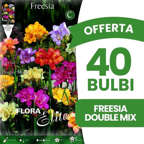 BULBI PRIMAVERILI OFFERTA 40 BULBI FREESIA DOUBLE MIX BULBS BULBES