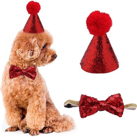 chapeau D'anniversaire Pour Chien Et Chat Avec Cravate - Costumes D'anniversaire Pour Animaux De Compagnie - Dcorations De Fte Pour Chiot Et Chat (1/5)