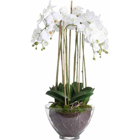 Large Orchid in Glass Pot Artificial Flower - Plastic - L70 x W70 x H88 cm - White