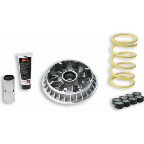 Variateur Malossi pour Scooter Suzuki 400 An Burgman 2007 à 2009