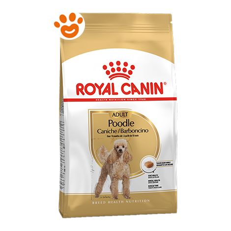 Royal Canin Cane Barboncino Poodle 500gr