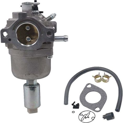 Carburetor for Briggs & Stratton Engines 287707 287776 287777 310707 310777 698620 690194 791886 799727 496796 499153 695412 792768 Carburetor Replacement