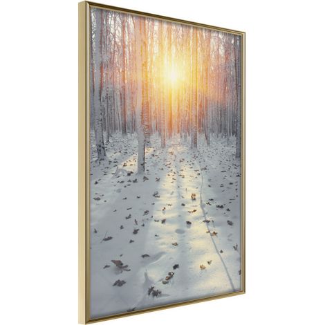 Affiche Murale Encadrée "Frosty Sunset" 30 x 42 cm Or