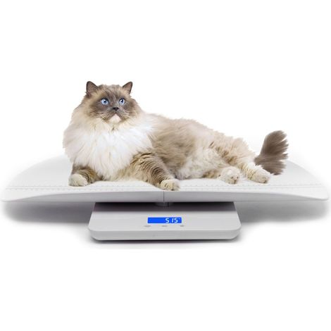 Balance numérique pour animaux de compagnie, avec 3 modes de pesée (kg/oz/lb), max 220 lb, capacité avec précision jusqu'à ± 0,02 lb, blanc (1/5)