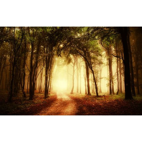 Affiche paysage sous bois enchanté - 60x40cm - made in France (1/5)