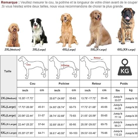 Dog Raincoats with Hood, Ultralight and Breathable Dog Coat with Reflective Strips for Medium to Large Dogs (Fluorescent Green, 5XL) (1/2)
