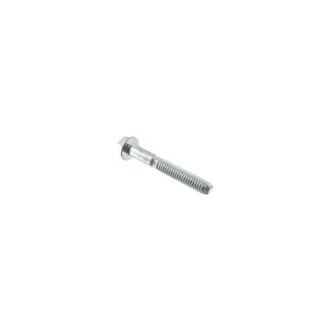 Vite BRIGGS ET STRATTON 690912