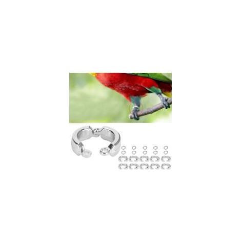 10 pièces Anneaux de Pied, d'oiseau Anneau de Jambe de Perroquet en métal Anneau de Jambe de Perroquet en Plein Air Oiseaux Extérieurs pour des perroquets (1/5)