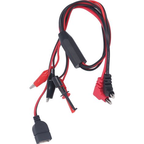 Lot de 2 Câbles de Test Banane vers Pince Crocodile, Ligne d'Alimentation DC Régulée, Interface de Connexion Électrique (1/5)