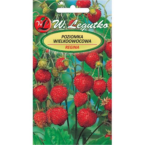 Graines de fraisier Regina à gros fruits Legutko 0,1 g (1/2)