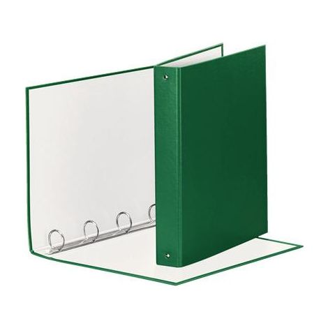 Esselte 395792600 carpeta de cartón Verde