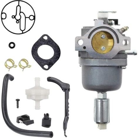 Carburateur pour Moteurs Briggs & Stratton 287707 287776 287777 310707 310777 698620 690194 791886 799727 496796 499153 695412 792768 Remplacement du carburateur (1/5)