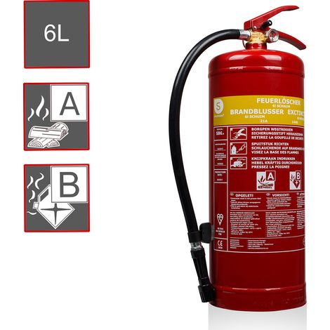 Schaumfeuerlöscher, Brandklassen A, B, Manometer, 6 Liter (1/5)