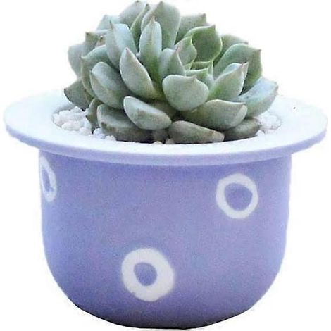 Mini-Sukkulenten-Blumentöpfe – Modern – Kaktus – Saftiger Blumentopf – Für drinnen, Zuhause, Büro – Lila (1/5)