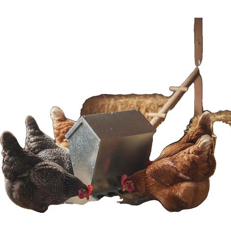 Comedero de acero galvanizado, apto para aves de corral, color verde militar. (1/2)