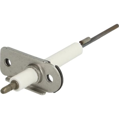 Electrode d'ionisation