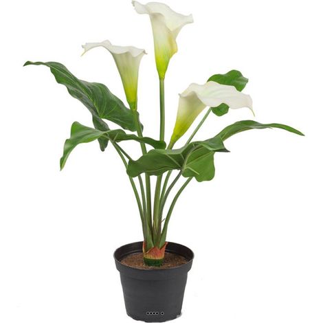 Arum calla artificiel en pot, 3 têtes de fleurs, H 40 cm Crème - couleur: Crème (1/3)