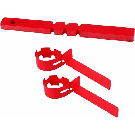 DEESSE SHOP - Lot de 100 étiquettes en plastique pour arbres 2 x 21 cm enroulées autour de marqueurs de jardin suspendus (rouge) (1/5)