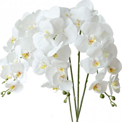 Sollbry 4 hojas artificiales de Phalaenopsis, orquídeas artificiales y tallos para decoración del hogar (blanco) (1/4)