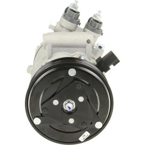 Compresseur, climatisation BV PSH 090.595.024.874 FORD 2203489 2469393 2634805