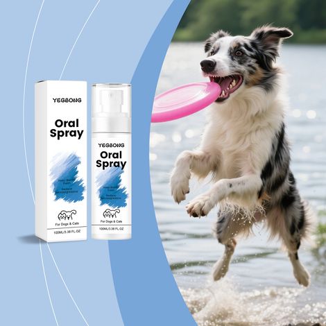 Spray bucco-dentaire pour animaux de compagnie contenant de l'extrait de menthe pour une haleine fraîche, un soin doux des gencives et l'élimination de la plaque dentaire – 100 ml (1/5)