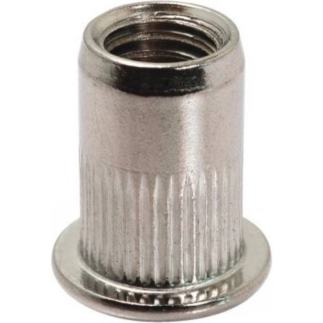 100 Ecrous à Sertir Crantés Tête Plate GOFIX M10 x 17 mm - Inox - D-Work