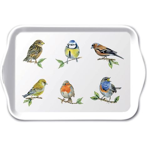 Mini plateau vide poche 20.5 x 13.5 cm - oiseaux (1/3)