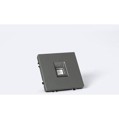 Toma RJ45 CAT 6 Internet Luxe 990 Gris Antracita