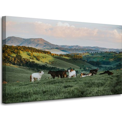 Leinwanddruck Natur, Weide und Kühe 100x60