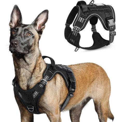 Harnais tactique pour chien réglable avec système Molle et poignées renforcées pour entraînements et promenades quotidiennes (1/5)