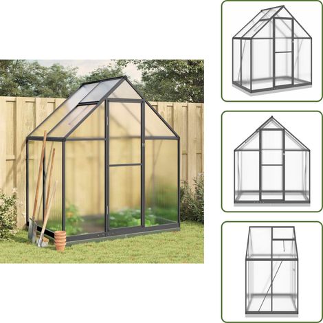 The Living Store Serre avec cadre de base anthracite 169x114x202 cm aluminium - Serre De Jardin - Abri Jardin - Protection Plante - Greenhouse - Serrez  Jardin